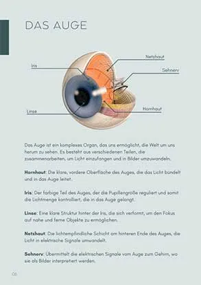 Augenlaser Handbuch von dr.vision