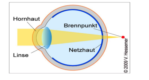 Augenarzt & Augenlasern Frankfurt dr.vision Augenarzt & Augenlasern Frankfurt dr.vision